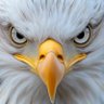 Kevolin47 profil fotoğrafı
