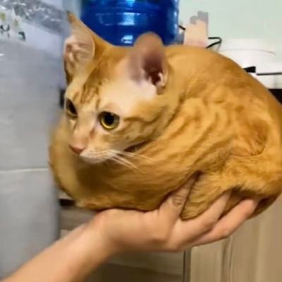 wybzbfd's profile picture