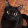 Profilbild von mel