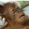 Фото профиля Bitcoin Retard