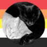 Nugget Brain's profile picture