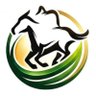 Фото профиля Rollup Racing