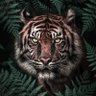 🐅மிருகா🐅 profil fotoğrafı