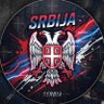 Serb from USA's profile picture