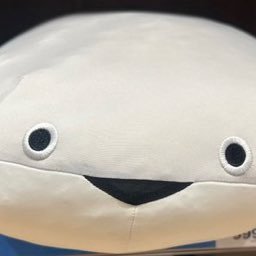 ﾄｷ(共同垢)'s profile picture