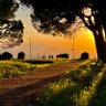 Sath_18 profil fotoğrafı