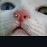 John smith's profile picture