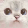 Indra's profile picture