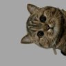 همینه که هست's profile picture