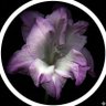 ཐི༏ཋྀ󠀮 profil fotoğrafı