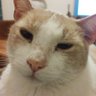 Profilbild von Nona