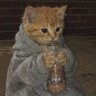 Bella61's profile picture