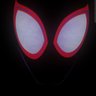 marc's profile picture