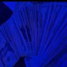 Hood rich niga's profile picture