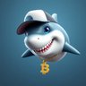 Bartosz Tokenomics profil fotoğrafı