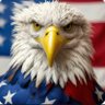 Profilbild von Based Eagle 🇺🇲🦅✝️