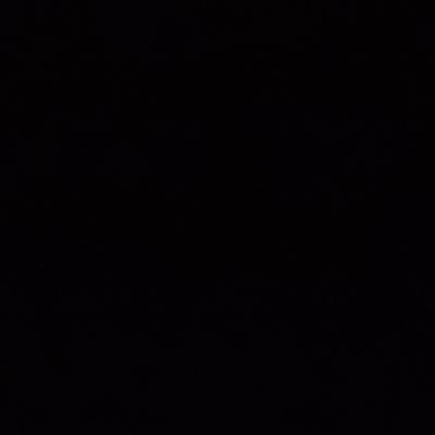 Nobody's profile picture