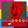 MAJORA, the CREATOR (CEO of Popular drones)'s profile picture