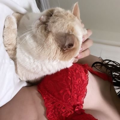gjxmw53594928's profile picture