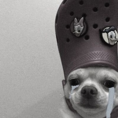 qwoqqoeo's profile picture