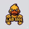 LAB comeback 的头像