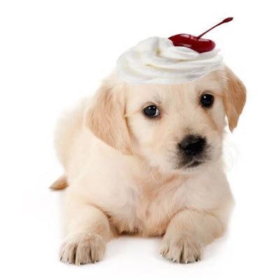 bledtilicried's profile picture