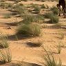 abomnsoor🇦🇪 profil fotoğrafı
