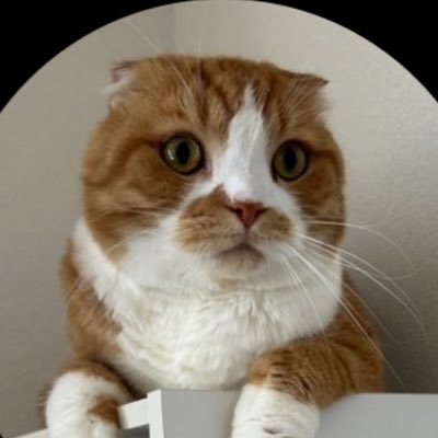 miwamiwax1's profile picture