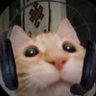 LrnZvlr's profile picture