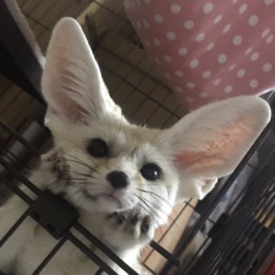 kkaMi's profile picture