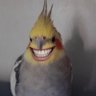 Profilbild von FLL