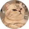 Фото профиля Muffin Hmph