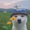 ᴘᴏɪɴᴛ profil fotoğrafı