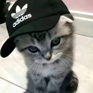 ds5f4's profile picture