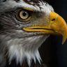mustaf profil fotoğrafı