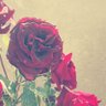 Фото профиля ويبقى الأمل