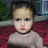 Hafizullah OMAIR꧁༺حفیظ الله عمیر༻꧂'s profile picture