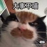 Spike.Speigel profil fotoğrafı