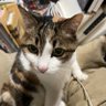 Фото профиля てるした無双
