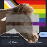 Homosexual Horse Neutral profil fotoğrafı