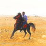 Mohamed رجب's profile picture