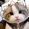 Фото профиля Catdrone