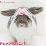 bunny profil fotoğrafı