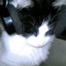 Profilbild von Misty