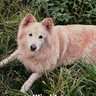 Malgorzata's profile picture