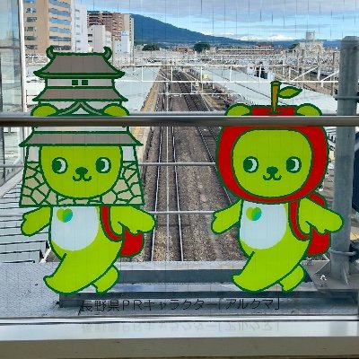 Daisuke Miyazaki 宮崎大祐's profile picture