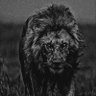 King~Jedy10 (Agenda Machine) ๐ฆ
's profile picture