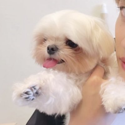 ガンガン ◡̈'s profile picture