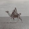 Profilbild von مُهيب