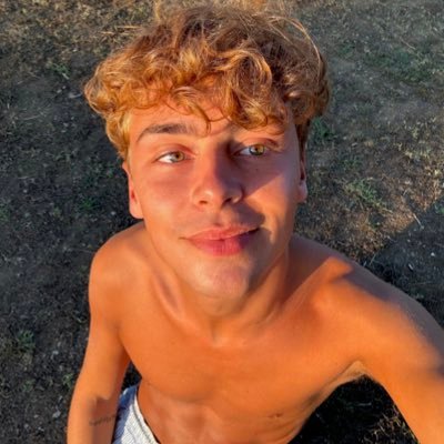 alfredo's profile picture